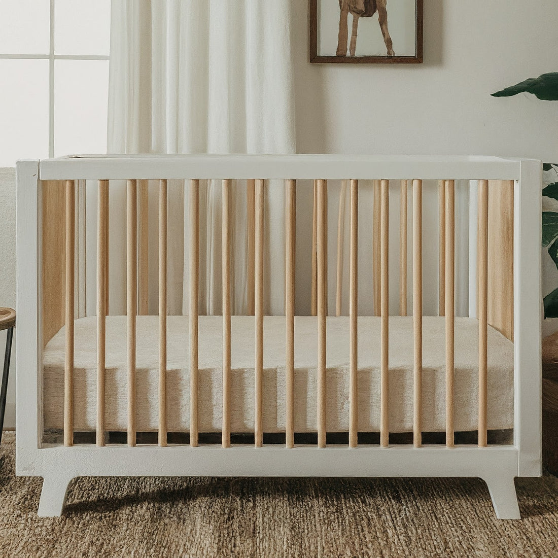 Importance of Vegetables While Pregnant