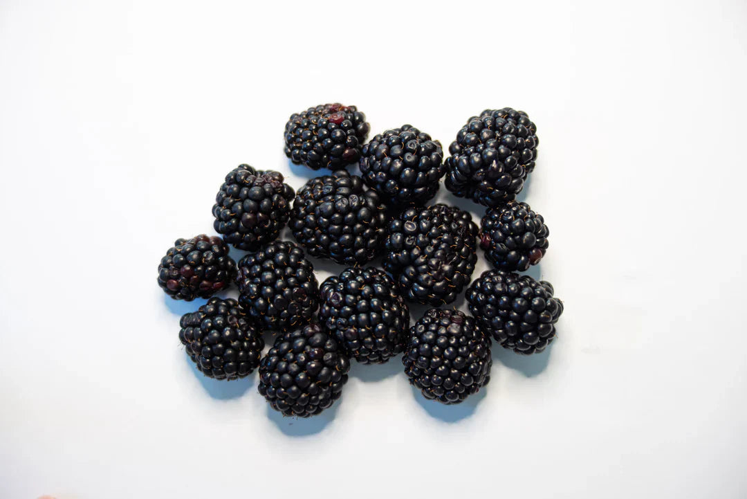 Benefits of Blackberries In Our Smoothies