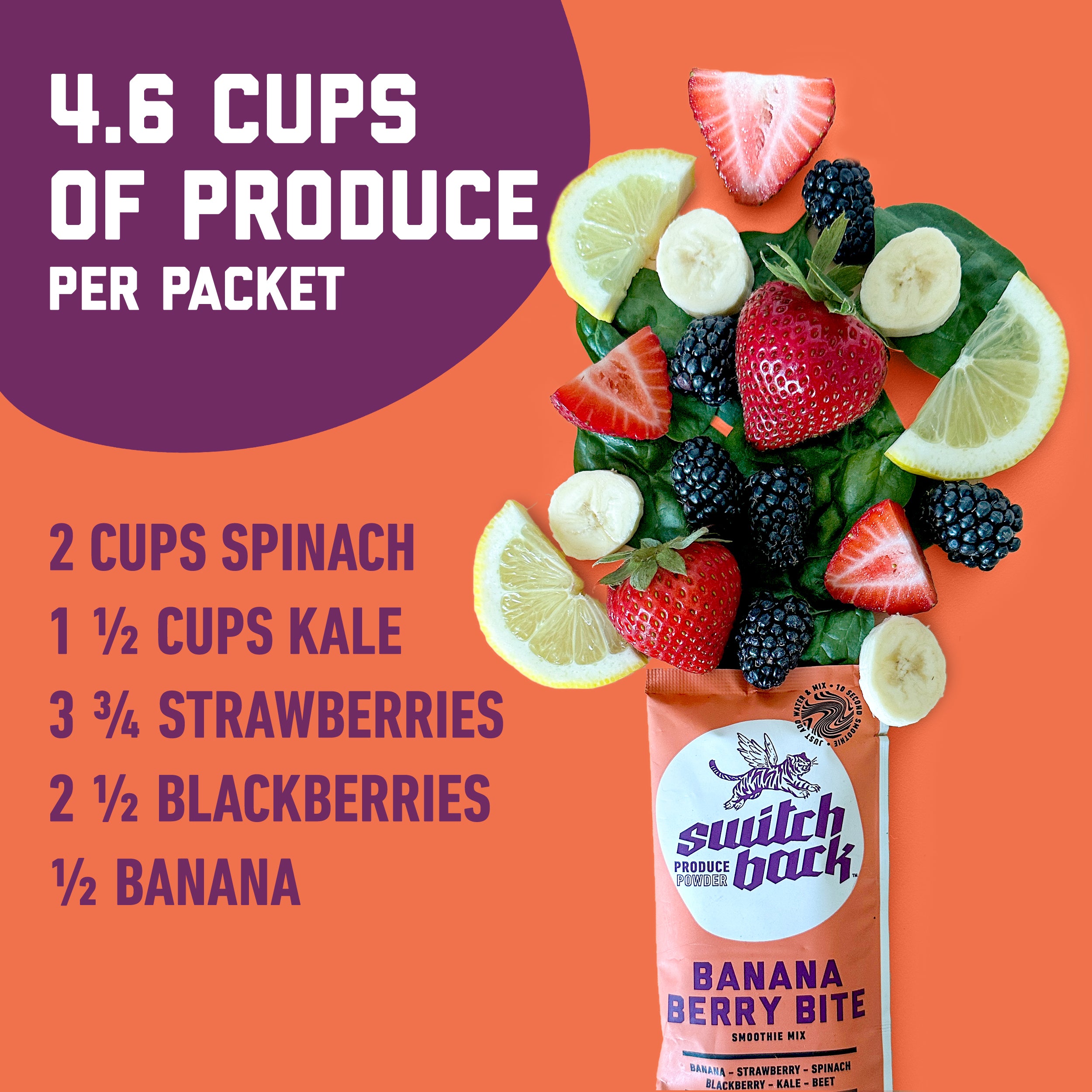 Banana Berry Bite Smoothie Mix (21 Pack or 150 Pack) | Zero Sugar Added | Switchback Foods 21 Pack