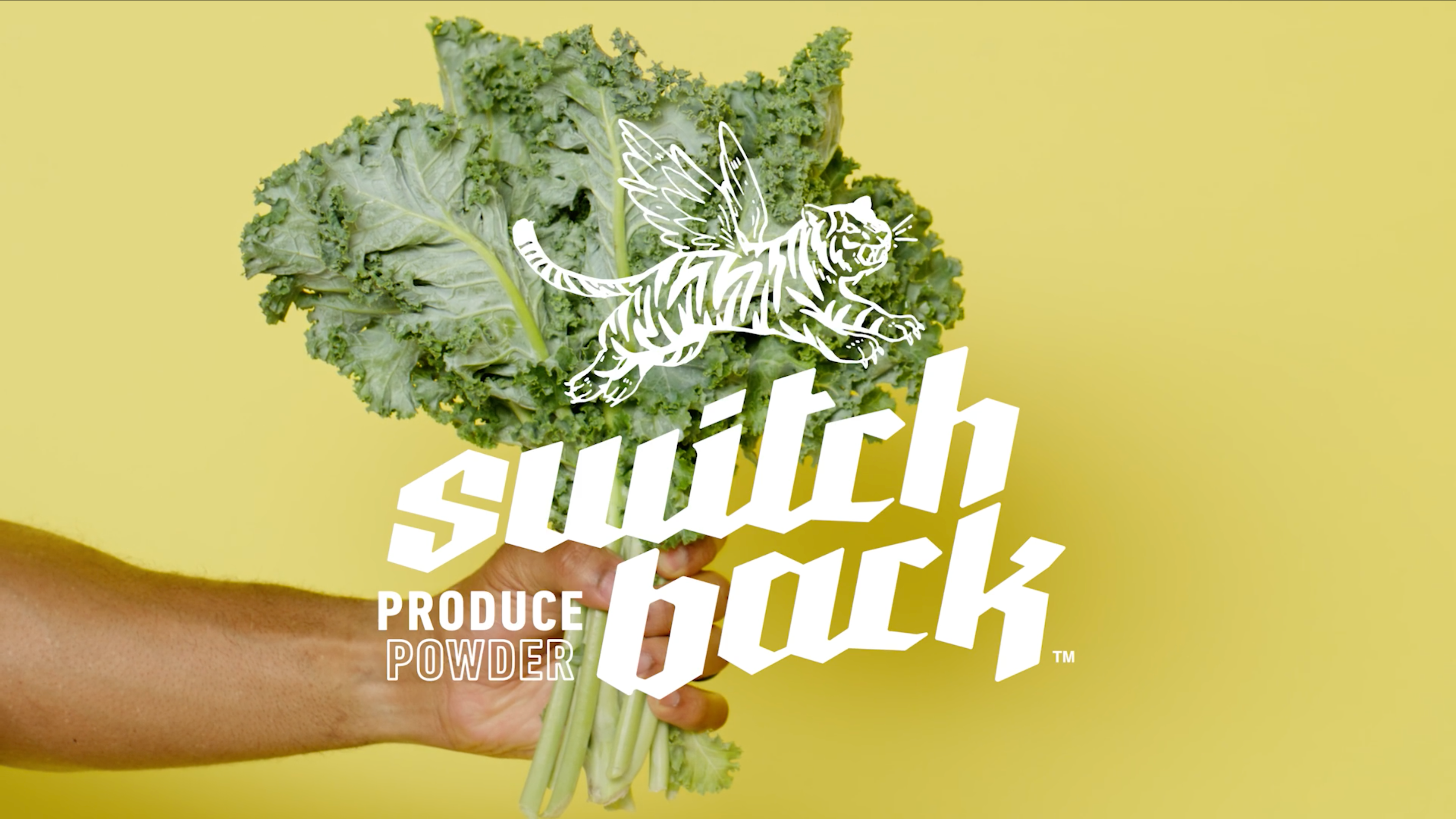 Hand Holding Kale With Switchback Foods Logo Overlay